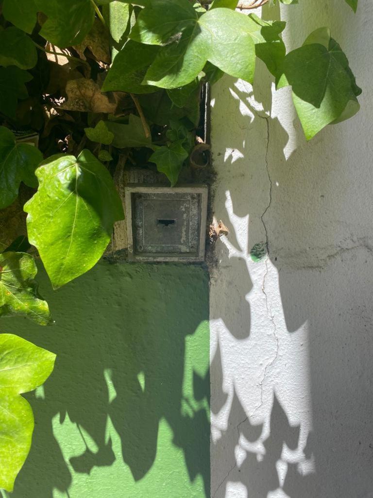Rentalsevilla San Clemente Bagian luar foto