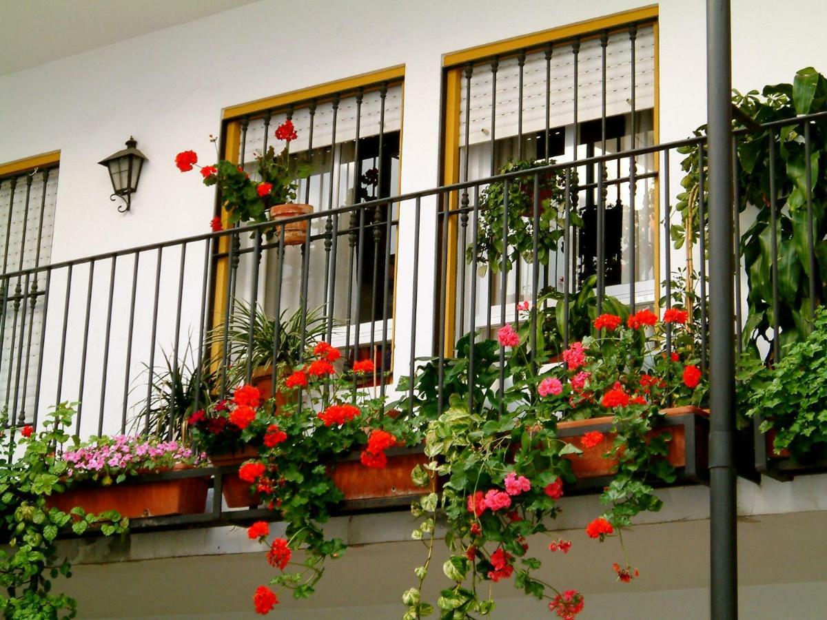 Rentalsevilla San Clemente Bagian luar foto